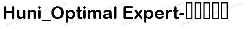 Huni_Optimal Expert字体转换